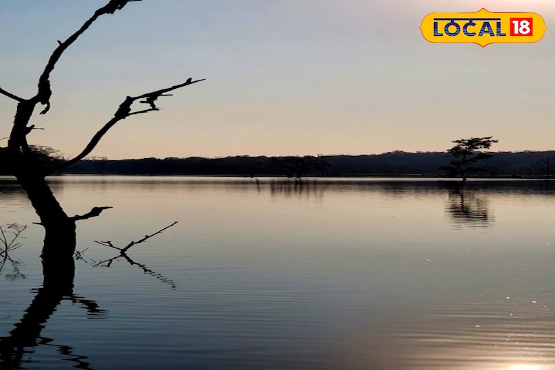 लोकल18, न्यूज18हिंदी, मध्य प्रदेश न्यूज, शिवपुरी न्यूज