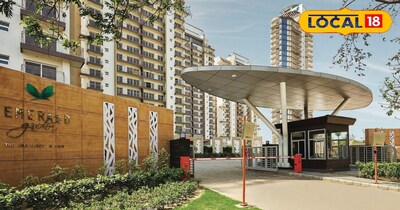 सेफेस्ट कॉलोनी