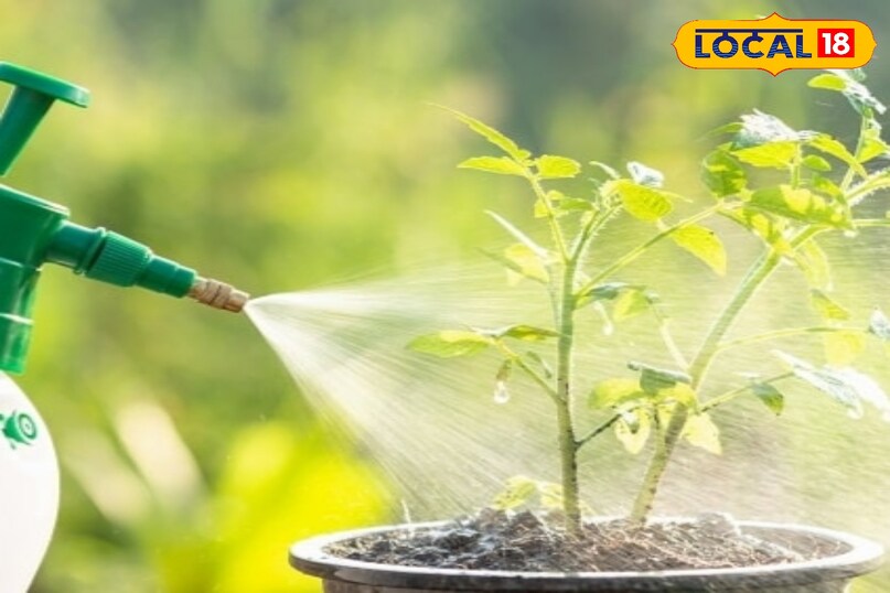 Gardening Tips Gardening Tips