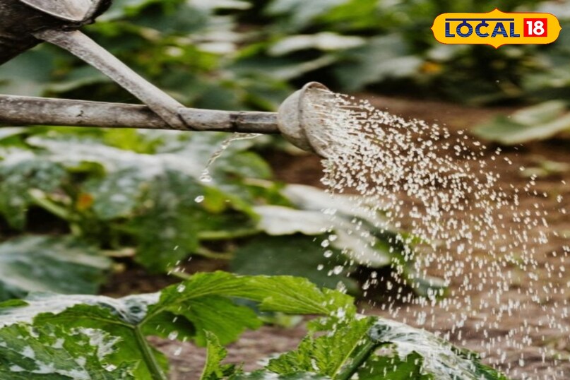 Gardening Tips Gardening Tips