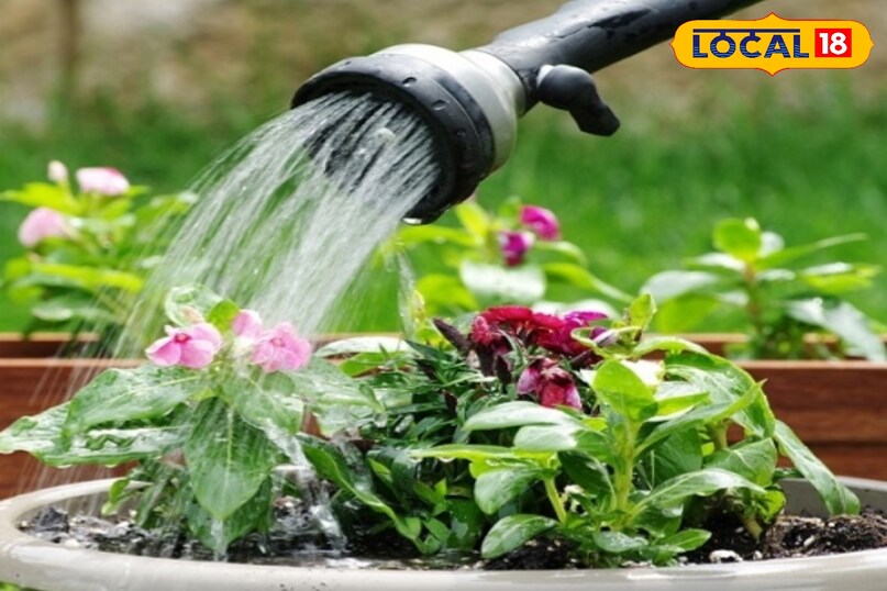 Gardening Tips Gardening Tips