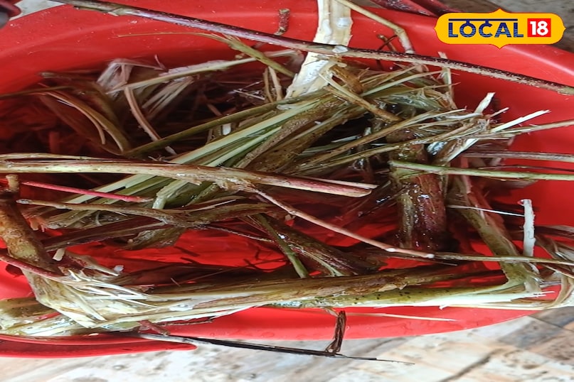 गुड को लंबे समय तक कैसे स्टोर करें, गुड़ बनाते समय किन बातों का ध्यान रखें, गुड़ बनाते समय कौन सी सावधानी रखें, Bharat.one, How to store jaggery for a long time, what things to keep in mind while making jaggery, what precautions to take while making jaggery, Bharat.one