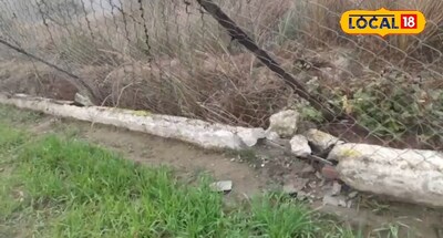 हाथियों ने तोड़ी फेंसिंग.