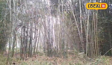 एक बार की लगाएंगे तों ज़िन्दगी के सालों तक पैसा ही पैसा! इस खेती से मालामाल बना