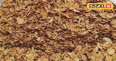 यूट्यूब पर वीडियो देख आया आइडिया, चिप्स बनाना सीख अब कमा रहे महीने 60 हजार रुपए