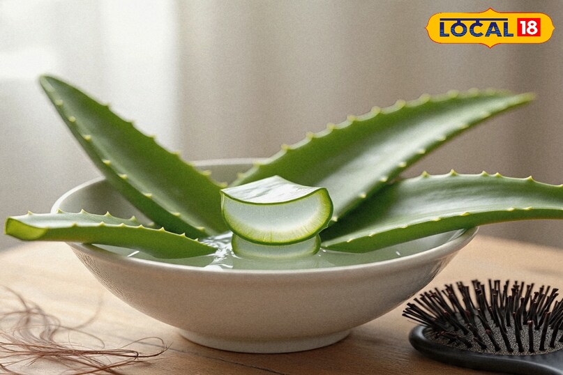 एलेवेरा एलेवेरा