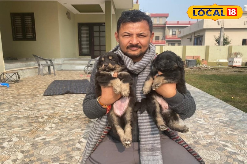 Temperament and behavior Temperament and behavior