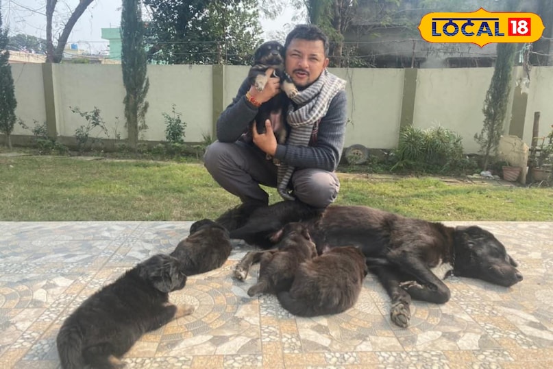 Declining numbers in modern times Declining numbers in modern times