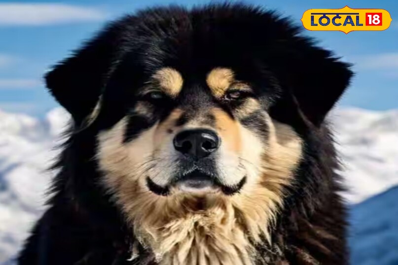 Deep relationship with Bhotia community Deep relationship with Bhotia community