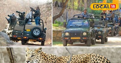न्यू ईयर पर घूमने के लिए बेस्ट हैं जयपुर की ये लैपर्ड सफारियां। 
