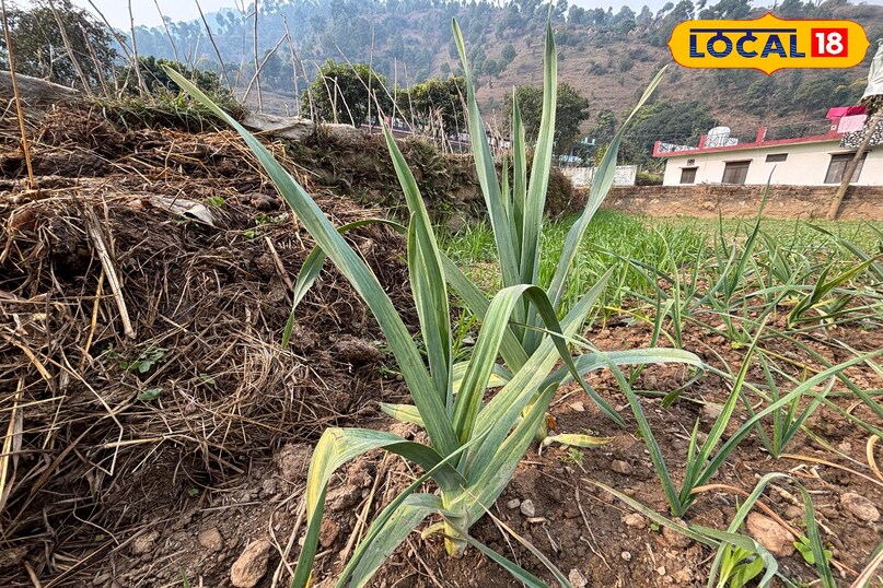 Space is also being made in modern kitchens 