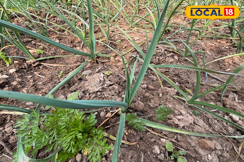 A spicy taste made with just three ingredients