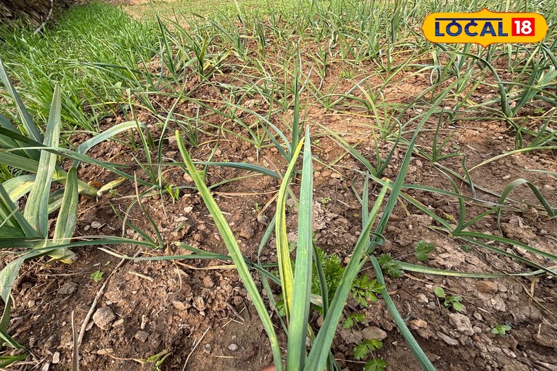 Strong connection between folk culture and food 