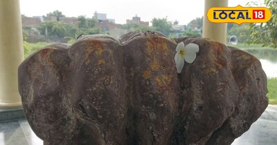 गेंद कालिया नाग के पास जाकर गिरी, तो भगवान श्री कृष्ण से सखा गेंद लाने को कहने 