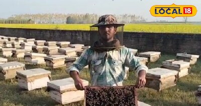 मधुमक्खी पालन से किसानों को हो रहा लाभ 