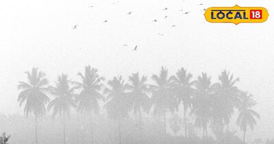 31 दिसंबर तक नहीं मिलेगी कोई राहत 