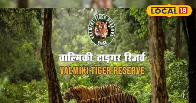 प्रतीकात्मक तस्वीर 