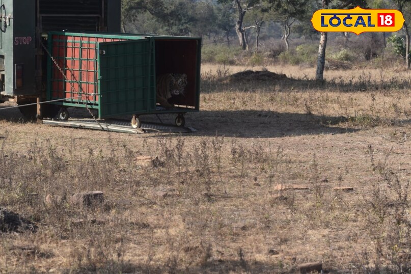 लोकल18, न्यूज18हिंदी, मध्य प्रदेश न्यूज, शिवपुरी न्यूज