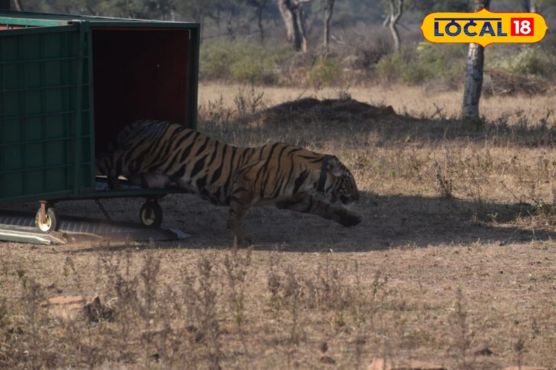 लोकल18, न्यूज18हिंदी, मध्य प्रदेश न्यूज, शिवपुरी न्यूज