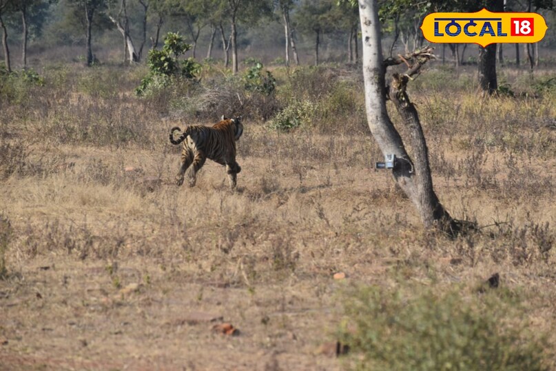 लोकल18, न्यूज18हिंदी, मध्य प्रदेश न्यूज, शिवपुरी न्यूज