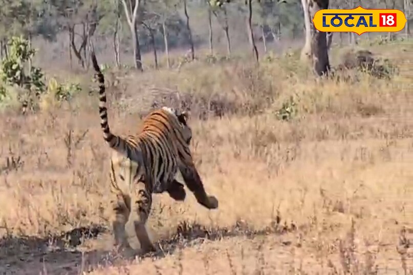 लोकल18, न्यूज18हिंदी, मध्य प्रदेश न्यूज, शिवपुरी न्यूज