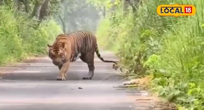 सांकेतिक फोटो.