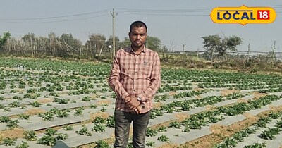 स्ट्रॉबेरी के साथ किसान 