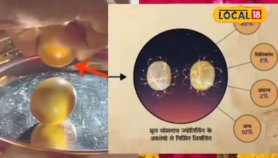 शिवलिंग दुर्लभ अवशेष 