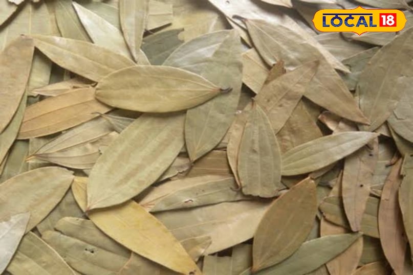 तेज पत्ता 