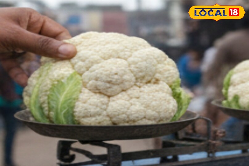 एक्सपर्ट डॉ० अखिलेश शाह ने बताया कि गोभी खरीदते समय फूल गोभी को हल्के हाथ से दबाकर देखें. अगर गोभी नरम लगे या फूल टूटने लगें, तो वह खराब हो सकती है. अच्छी फूल गोभी सख्त और मजबूत होती है.