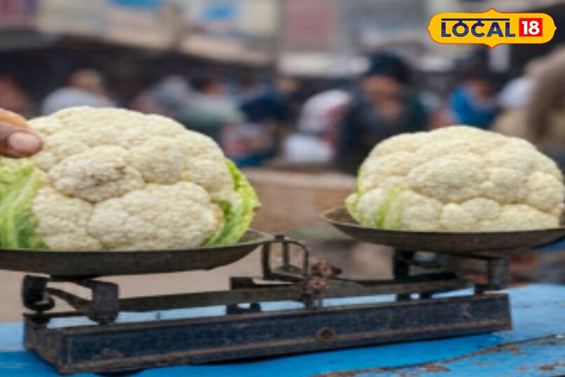 उन्होंने कहा कि हमेशा वही फूल गोभी खरीदें जो आकार में भारी लगे. हल्की गोभी अक्सर अंदर से खराब या कीड़े लगी हो सकती है. 