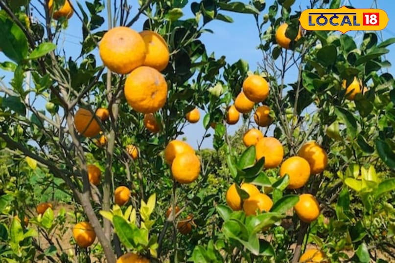 agriculture Tips agriculture Tips