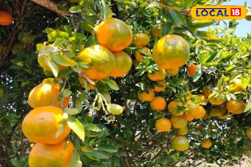 Agriculture Tips Agriculture Tips