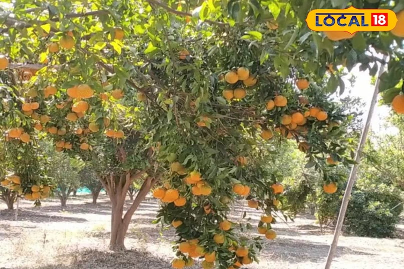 Agriculture Tips Agriculture Tips