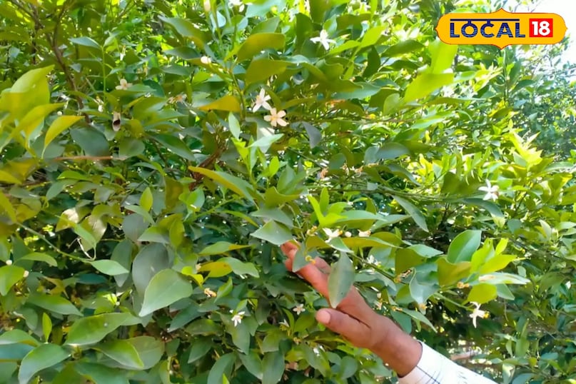 Agriculture Tips Agriculture Tips