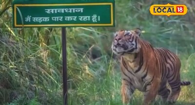 फाइल फोटो.