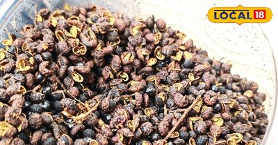 जंगली धनिया 