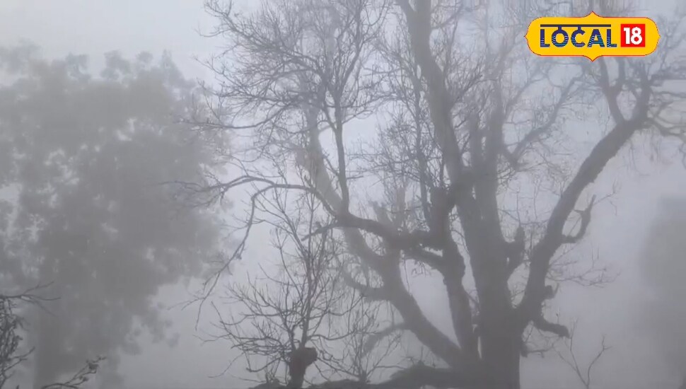 छत्तीसगढ़ में दो दिन शीतलहर का खतरा, सुबह-शाम घर से निकलते वक्त रहें सावधान