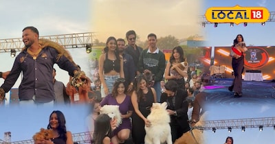 मॉडल्स ही नहीं... रैंप पर डॉग ने बिखेरा ऐसा जलवा