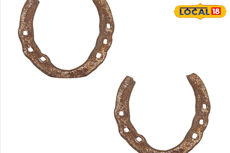 what is a horse shoe 