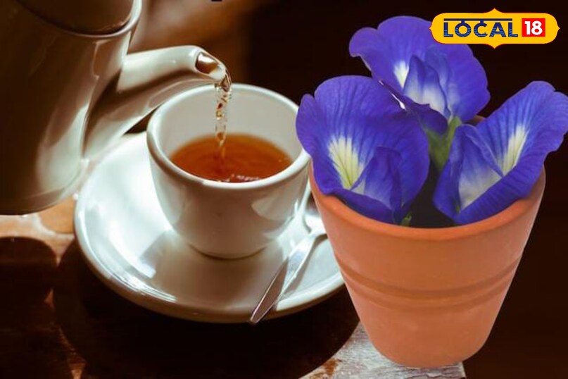 Moradabad news, hindi news, local news, up news, मुरादाबाद समाचार, हिंदी समाचार, लोकल समाचार, यूपी समाचार।