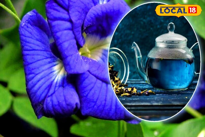 Moradabad news, hindi news, local news, up news, मुरादाबाद समाचार, हिंदी समाचार, लोकल समाचार, यूपी समाचार।