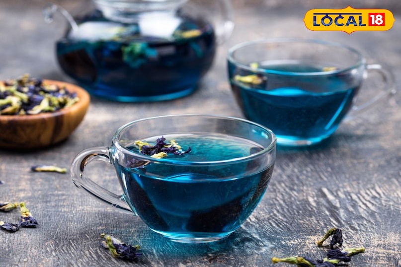 Moradabad news, hindi news, local news, up news, मुरादाबाद समाचार, हिंदी समाचार, लोकल समाचार, यूपी समाचार।