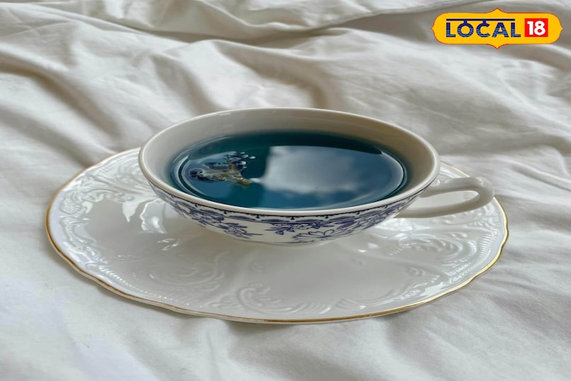 Moradabad news, hindi news, local news, up news, मुरादाबाद समाचार, हिंदी समाचार, लोकल समाचार, यूपी समाचार।