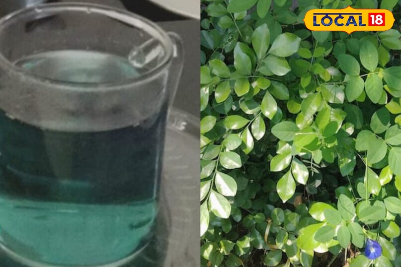 Moradabad news, hindi news, local news, up news, मुरादाबाद समाचार, हिंदी समाचार, लोकल समाचार, यूपी समाचार।