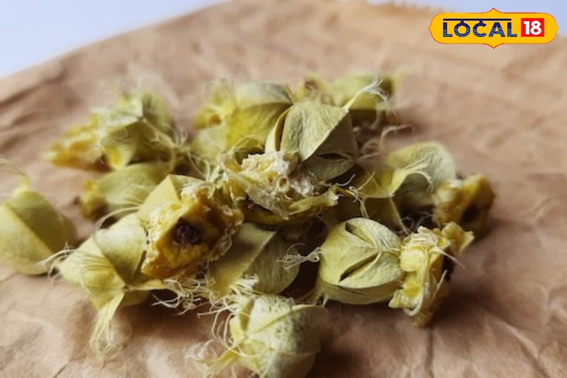 medicinal benefits of aamla seeds 