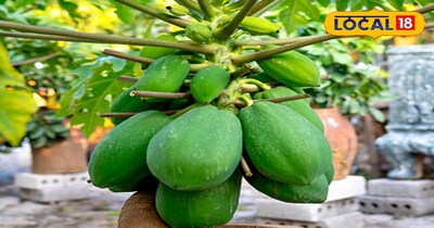 प्रतीकात्मक