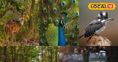 सांकेतिक फोटो.