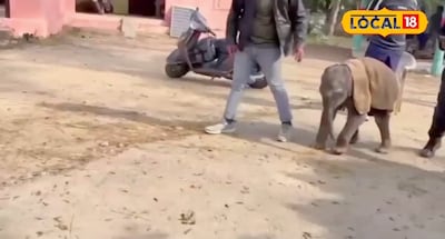 फाइल फोटो.