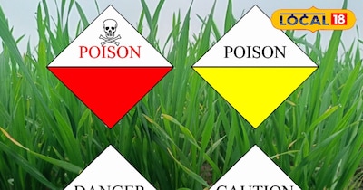 कीटनाशक